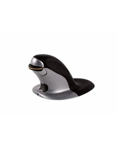 Fellowes Souris Ergonomique Sans Fil - Noir/Argent - Optique, Confort & Précision
