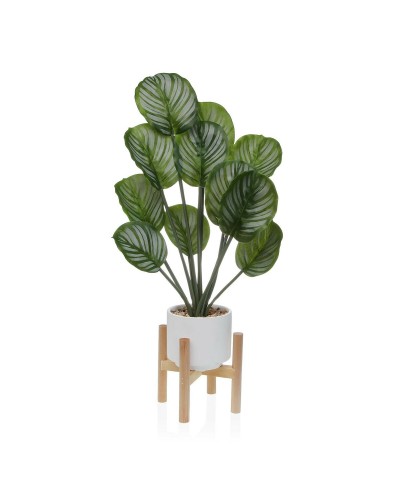 Planta Verde Versa: Solución Decorativa para Ambientes Domésticos y Oficinas.
