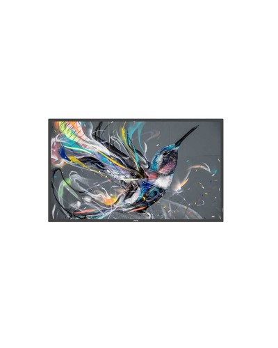 Écran Videowall Philips 43BDL3511Q/00 IPS 43" Direct-LED