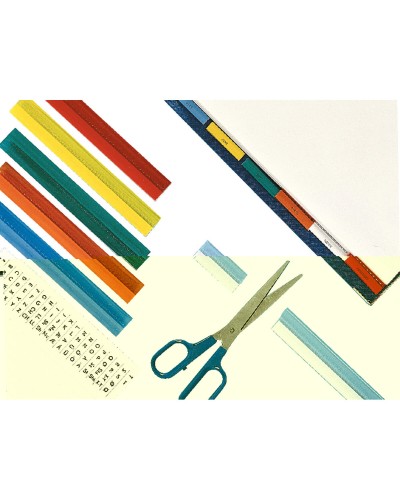 Folder Esselte Multicolour