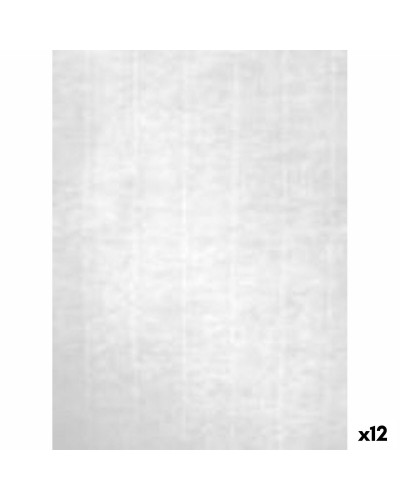 Papier Apli Wit A4 100 Lakens (12 Stuks)