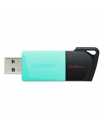 USB Pendrive Kingston DTXM/256GB Schwarz 256 GB