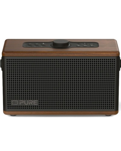 Tragbare Bluetooth-Lautsprecher Pure 254374