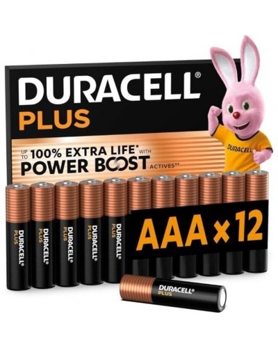 Rechargeable Batteries DURACELL DPBLR3B12 1,5 V AAA