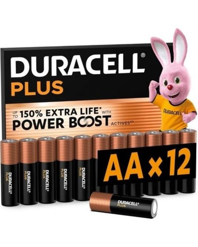 Batterie Ricaricabili DURACELL DPBLR6B12 1,5 V