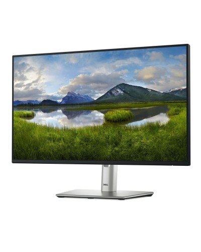 Écran Dell P2425H 23.8" Full HD 100Hz - Travail & Gaming

