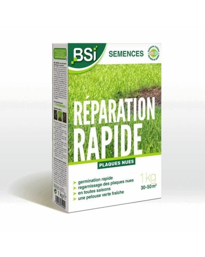 Samen BSI Reparación Rápida 1 kg
