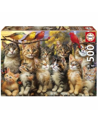 Puzzel Educa Gatitos y Pájaros 500 Onderdelen