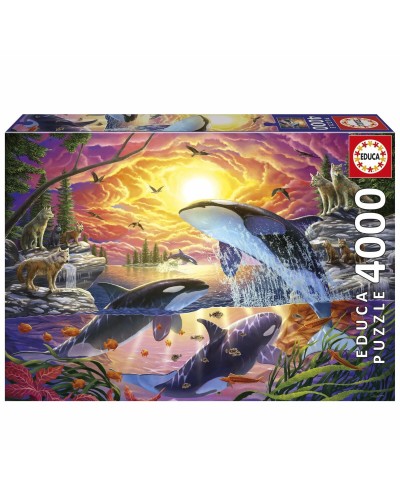 Puzzle Educa Orcas y Lobos 4000 Piezas