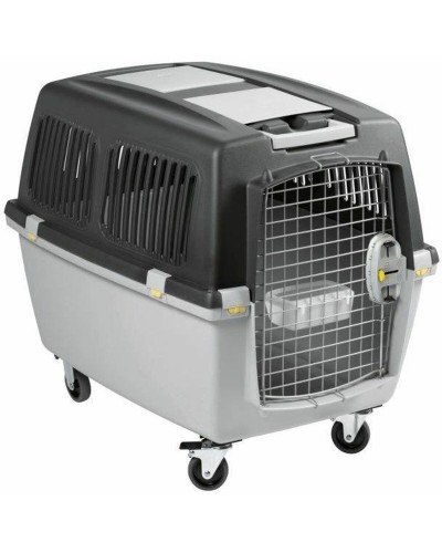 Cage de transport Kerbl Gulliver 5 | Plastique | Noir/Gris | Dimensions 56x37x35 cm
