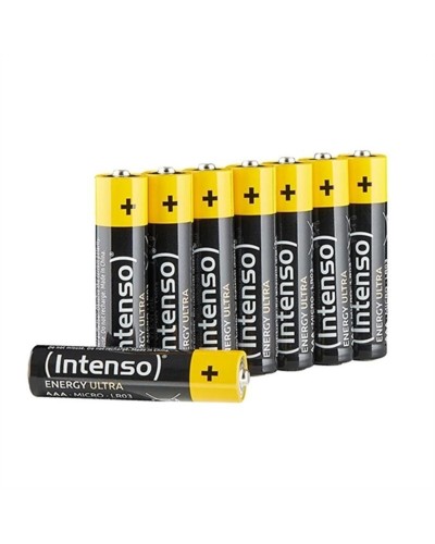 Akkus INTENSO 7501511