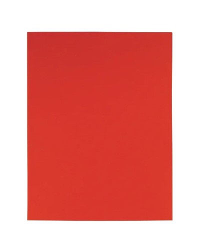 Sottocartelle Mariola Rosso A4 - 50 Pz - Documenti Organizzati
