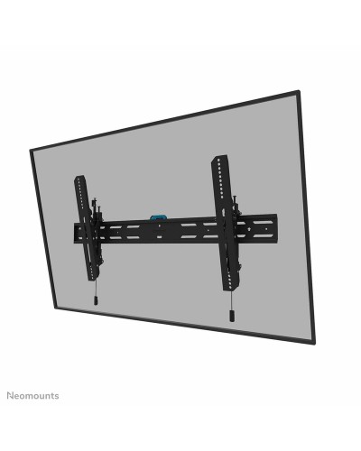 Neomounts Support TV WL35S-850BL18, 43-98", Inclinable et Pivotant
