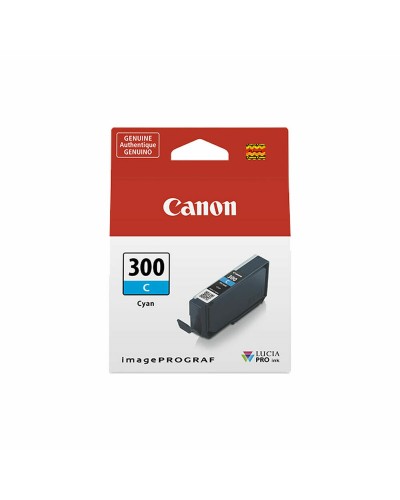 Originele inkt cartridge Canon 300