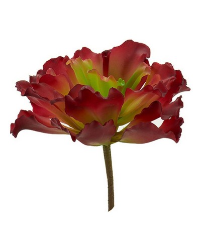 Decorative Plant - Elegant Addition to Your Home or Office
