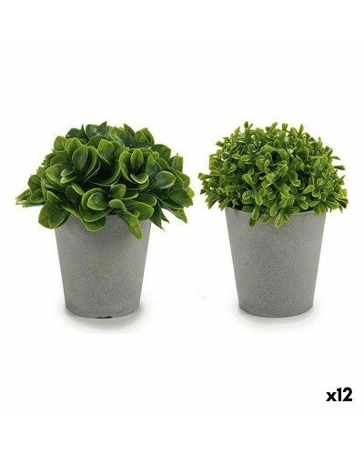 Decoratieve plant Plastic 13 x 17 x 13 cm (12 Stuks)