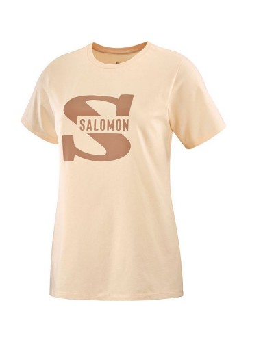 Salomon Big Logo T-Shirt Herren: Atmungsaktiv, Kurzärmlig, Beige/Braun - Running & Casual
