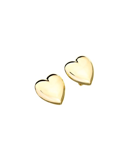 Ladies' Earrings Chiara Ferragni J19AXP07