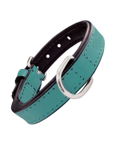 Gloria Turquoise Padded Dog Collar (30 cm x 1.5 cm)
