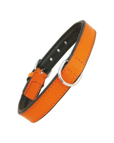 Collar para Perros Gloria Acolchado Naranja, Talla 45 x 2 cm
