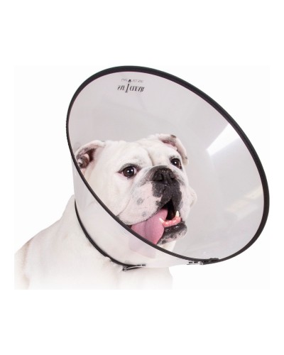 Collar Isabelino Transparente KVP Saf-T-Clear para Perros (Talla Mediana, 22-43 cm)
