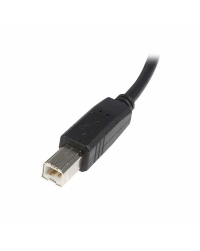 Kabel USB A naar USB B Startech USB2HAB3M            Zwart