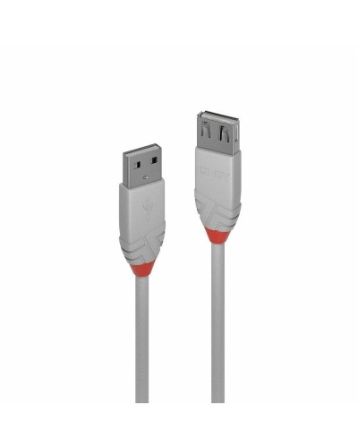 LINDY Cable USB 2.0 A Macho a B Macho - 1m Gris - Impresora y Periféricos

