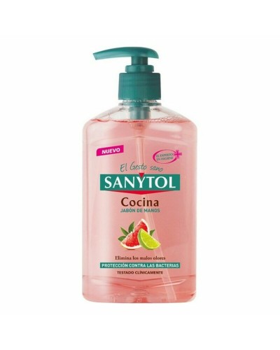 Sanytol Savon Liquide Mains Cuisine - Antibactérien, Pompe Doseuse 250ml
