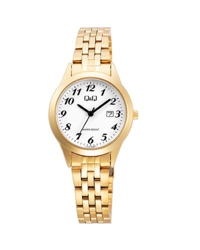 Horloge Heren Q&Q C27A-002PY