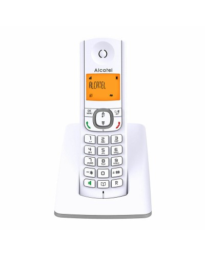 Trådlös Telefon Alcatel F530SG Grå Vit/Grå