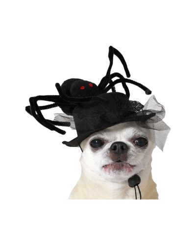 Dog Costume Black Hat