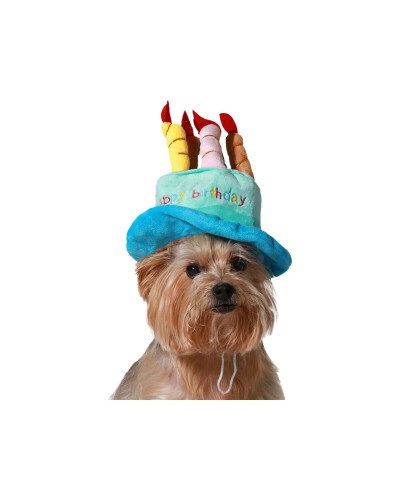 Dog Costume Blue Hat Birthday