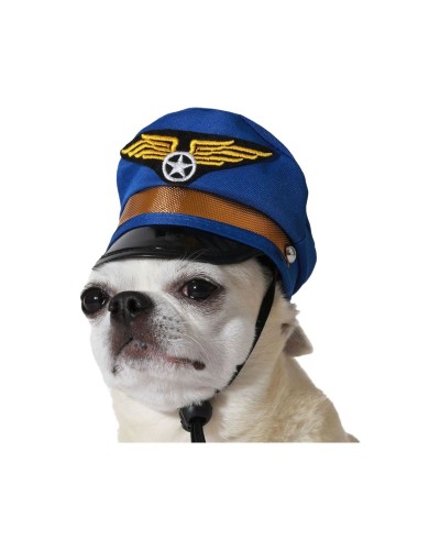 Dog Costume Blue Hat