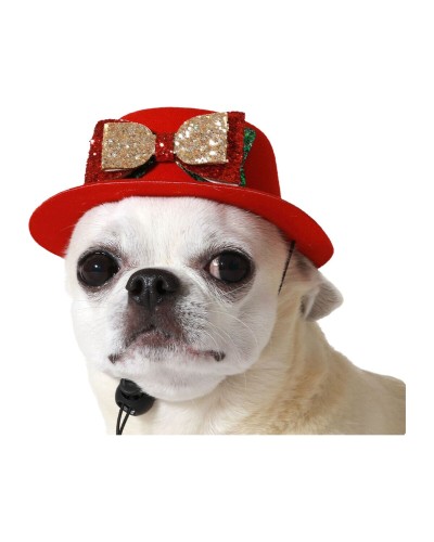 déguisement pour chien Rouge Chapeau