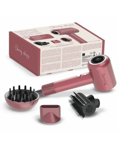 Hairdryer Demeliss