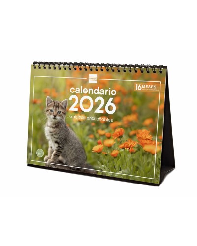 Tischkalender Finocam Bunt Papier 21 x 15 cm