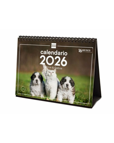 Calendario de Sobremesa Finocam Multicolor Papel 21 x 15 cm