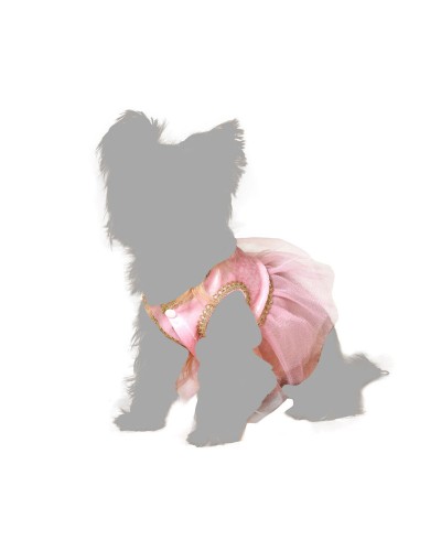 Costume de Ballerine pour Chiens de Taille Moyenne - Élégant et Amusant
