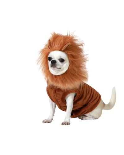 Costume de Lion pour Chiens de Petite Taille : Transformez votre Compagnon à Quatre Pattes en un Roi de la Savane
