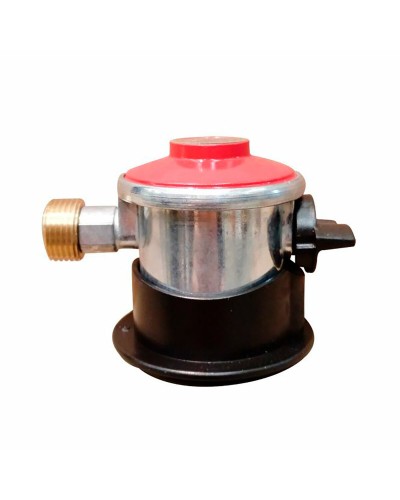 Détendeur de Gaz GPL pour Réchauds de Camping et Chauffages de Jardin
