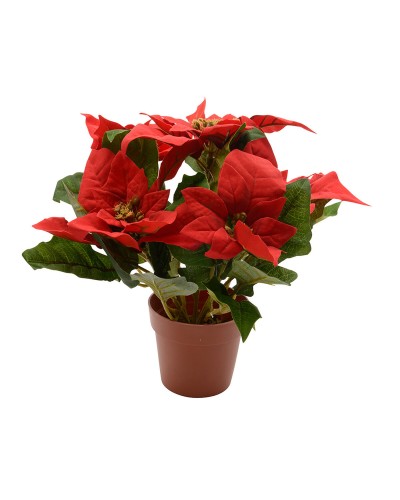 Pianta Decorativa Lifetime Stella di Natale in Rosso, Diametro 27 cm