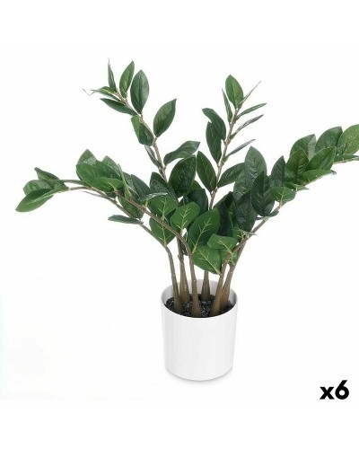 Decoratieve plant Ibergarden ZAMIOCULCA Polyethyleen Melamine 53 x 55 x 53 cm (6 Stuks)