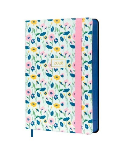 Päivyri Finocam 11,8 x 16,8 cm