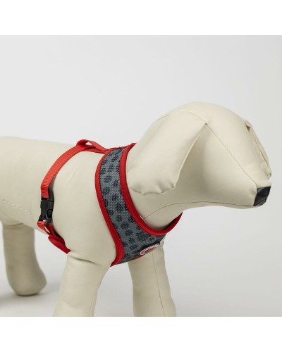 Hundsele Minnie Mouse XS/S