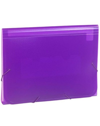 Järjestelykansio Carchivo 1913KF56 Violetti Din A4