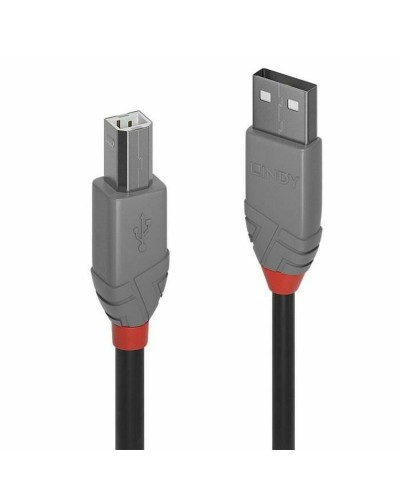 USB A till USB B Kabel LINDY 36674 3 m Grå