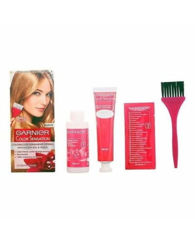 Permanent färg Color Sensation Garnier Blont
