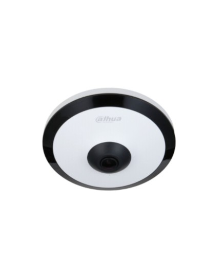 IP camera Dahua 1.0.01.04.33906