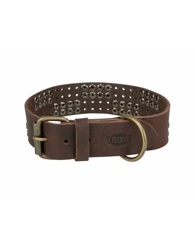 Hundhalsband Trixie Rustic Mörkbrun L