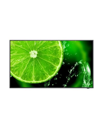 Gaming Monitor NEC 60006113 Full HD 32"